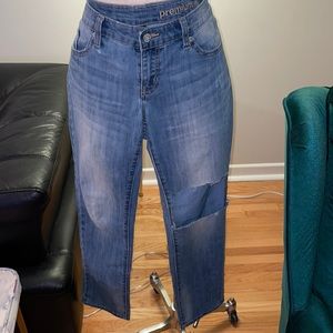 GAP Premium Straight Size 8/29